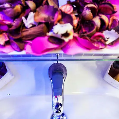 Metropolis ベッド・アンド・ブレックファスト