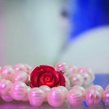 大都市住宿加早餐酒店 墨西拿